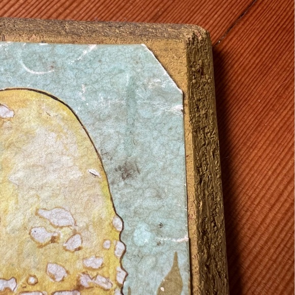 Vintage Cottagecore Mushroom Botany Litho Art Print 1971 USA made - Picture 6 of 12